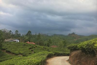 2 días en Munnar- Tour corto