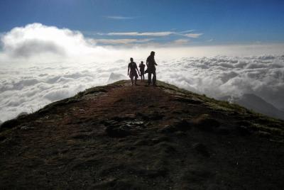 Excursión privada de 4 días a Kerala con alojamiento