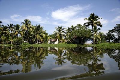 Excursión de un día a Kumbalangi Excursión de un día a Kumbalangi