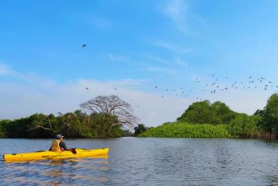Kochi Kayaking Kochi Kayaking