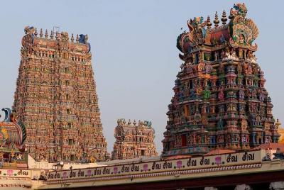 Cochin a Madurai, el remanso, la finca de té y el templo Cochin a Madurai, el remanso, la finca de té y el templo