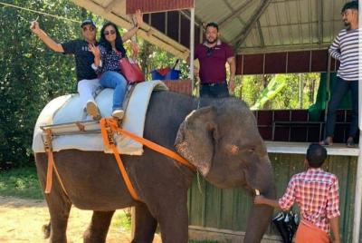 Excursiones 1N / 2D Munnar desde el hotel / aeropuerto de Cochin con estadía en el hotel Excursiones 1N / 2D Munnar desde el hotel / aeropuerto de Cochin con estadía en el hotel