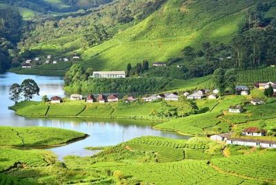 Paquetes turísticos a Kerala