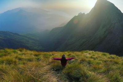 Kerala premium tour privado por 7 noches 8 días con casa flotante Kerala premium tour privado por 7 noches 8 días con casa flotante