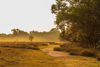Excursión de un día a Sundarbans (experiencia de turismo privado guiado desde Kolkata)