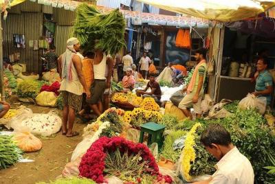 Mallick Ghat Flower Market Morning Walk Tour de medio día