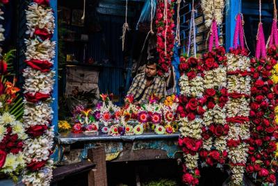 Excursión turística de medio día en Calcuta