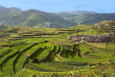 Tour privado de 3 días a Kodaikanal con alojamiento