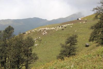 Bhrigu Lake Trek en Himalaya por The Countryside Travels Bhrigu Lake Trek en Himalaya por The Countryside Travels