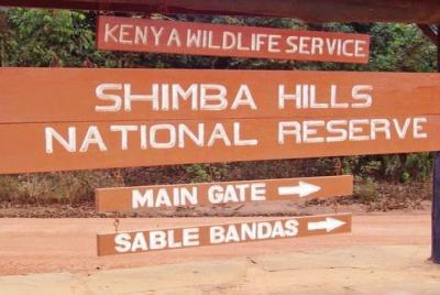 Excursión de día completo: Reserva Nacional de Shimba Hills y conservación de Colobus