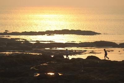Excursión de un día a Global Vipassana, la iglesia de Vailankani y las playas escondidas de Mumbai
