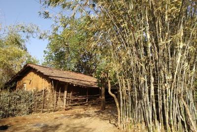 Un día con la tribu Warli