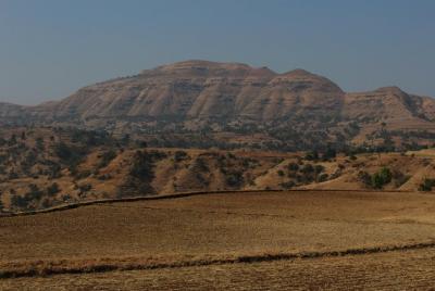 Vida fuera de la red (un taller de habilidades de supervivencia)