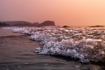 Phansad Wildlife Janjira fort & Kashid de Mumbai