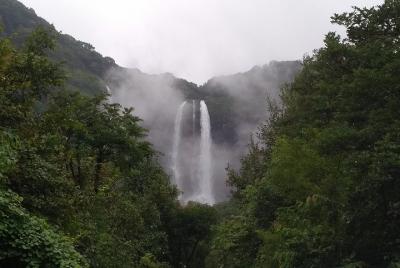 Koyna Wildlife y Ozarde Falls desde Mumbai