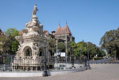 Dawn Tour y Flower Market Tour