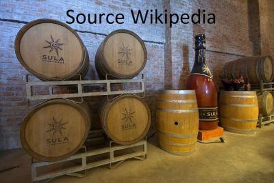 Excursión de un día a los viñedos de Sula desde Mumbai