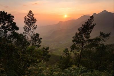 Caminata a Meesapulimala: una visita guiada con recogida y entrega en jeep