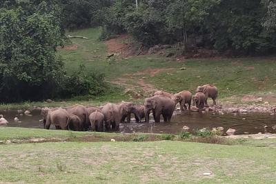 1 Día Actividad Aventura Trekking Kerala