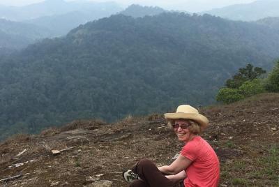 Plantación de té a pie y estancia en vista al valle. Habitación