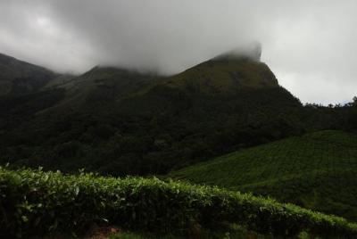 Caminata a Lakshmi Hills, Munnar: un recorrido grupal guiado