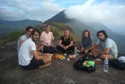 Trekking de medio día (trekking y tours en el valle de munnar)