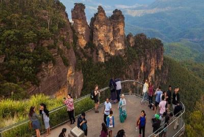 Tour de día completo de Munnar