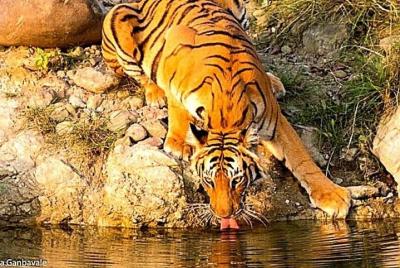 Experiencias en la naturaleza