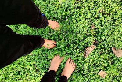 Baños de bosque Delhi