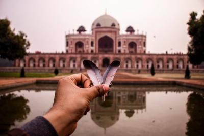 8 horas: Lo mejor de la vieja y nueva gira de Delhi