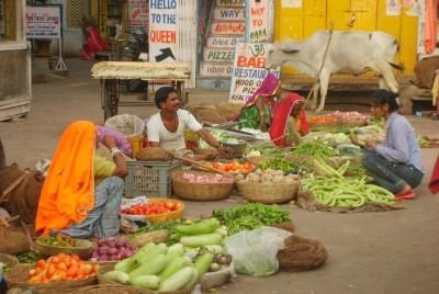 Holi Festival - Experiencia virtual privada en vivo