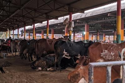 Descubra lugares nunca antes vistos: Delhi by Dawn Tour con guía y transporte