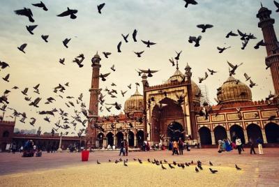 Recorrido de medio día por la antigua caminata de Delhi y el Fuerte Rojo
