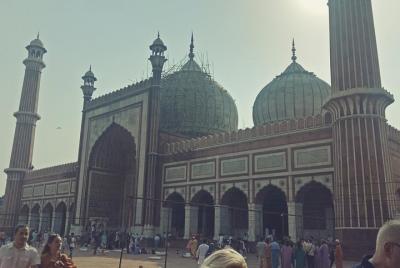 Delhi City Tour con transporte privado y guía