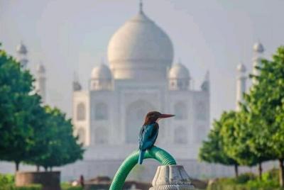 Viaje de 2 días al Taj Mahal, el fuerte de Agra y Fatehpur Sikri desde Chennai