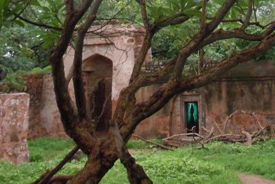 Descubrimiento de las Ruinas Embrujadas y Espeluznantes de Delhi