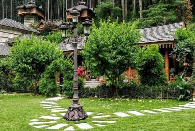 Paquete Shimla Manali