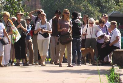 Orchha Sightseeing By Professional Certified Guide, Guide Tour In Orchha.  Orchha Sightseeing By Professional Certified Guide, Guide Tour In Orchha.