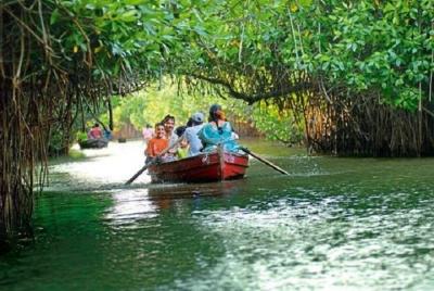 Excursión al manglar Pichavaram y al templo Chidambaram de Nataraja desde Pondicherry