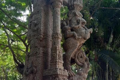 Viaje turístico a White Town Elite