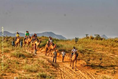 Camel Safari En Pushkar