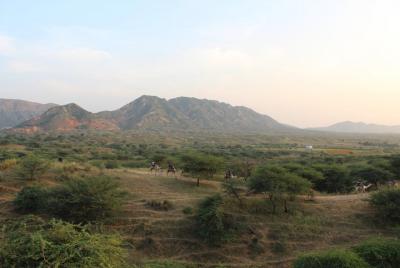 Excursión de un día en el desierto y las colinas