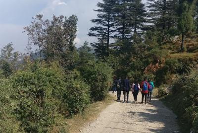 Nature Walk of Mussoorie (2 horas de visita guiada a pie) Nature Walk of Mussoorie (2 horas de visita guiada a pie)