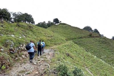 Benog Hill Trek Benog Hill Trek