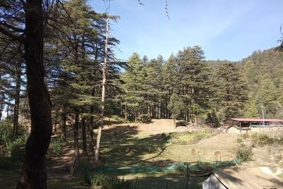 George Everest Nature Walk | Mussoorie George Everest Nature Walk | Mussoorie