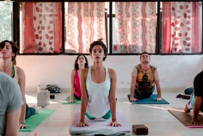 200 horas de profesorado de yoga en Rishikesh 200 horas de profesorado de yoga en Rishikesh
