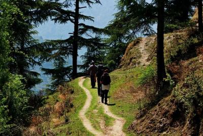 Caminata alrededor de Mussoorie Caminata alrededor de Mussoorie