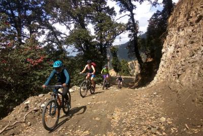 Recorrido de 9 días en bicicleta de montaña por el Himalaya desde Shimla a Daramshala Recorrido de 9 días en bicicleta de montaña por el Himalaya desde Shimla a Daramshala