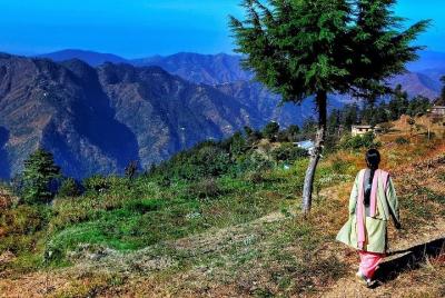 Lo mejor del recorrido a pie de Shimla Lo mejor del recorrido a pie de Shimla