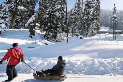 Paquete de 4 días- Kashmir Tour